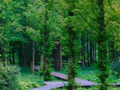 -国家植物园南园