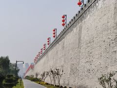 -洛阳市隋唐城遗址植物园