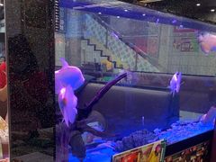 -新辉港式茶餐厅(北栅店)