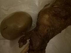 -顺城金记卤鸡·清真