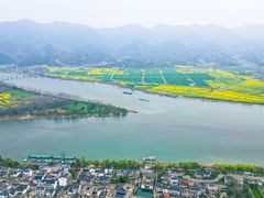 -东梓关景区村庄