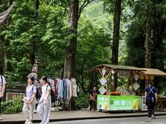-青城山
