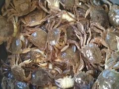 景点-莺歌海盐场