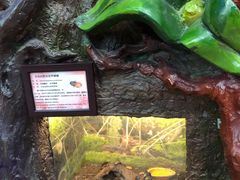 -上海大自然野生昆虫馆(东方明珠·爬宠昆虫探索中心)
