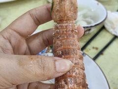-秋姐美食店(海陵岛保利店)