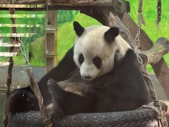 -柳州市动物园