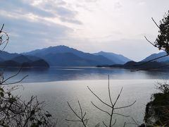 -小团圆灶台鱼·百城头牌菜(千岛湖店)