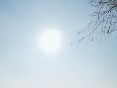 -长春市南湖公园