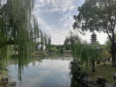 -苏州吴宫泛太平洋酒店