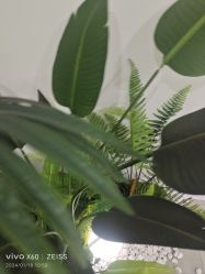 -HEYAN荷妍专业脱毛连锁机构