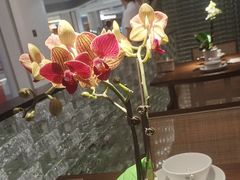 -小户人家(循礼门南国中心店)
