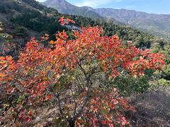 -香山公园