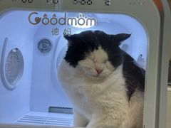 -悠尼宠物·独立低压伊珊娜洗护·美容·寄养(兰谷路店)