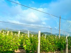 -大泽山风景名胜区