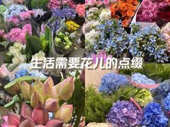 -双季花艺园艺市场(浦东店)