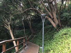 -梧桐山风景名胜区