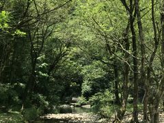 -楠溪江石桅岩