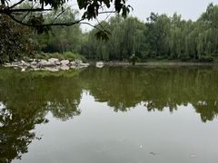 -清凉山国家森林公园