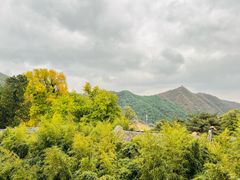 -潭柘寺景区