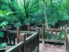 -上海佘山国家森林公园天马山园