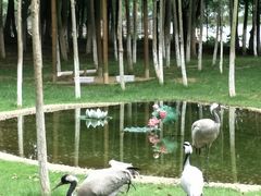 -艾溪湖湿地公园