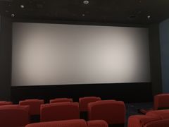 -太平洋影院(西村店)