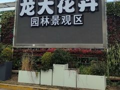 -龙大花卉苗木市场