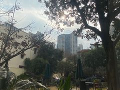 -大可堂普洱茶馆(襄阳南路馆)