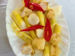 -明升萝卜汤