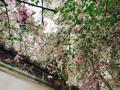 -深圳国际园林花卉博览园