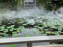 -厦门园林博览苑