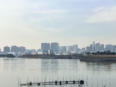 -台场海滨公园船码头