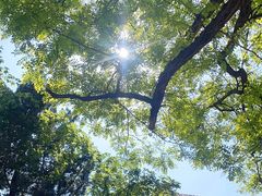 -青岛市江苏路基督教堂