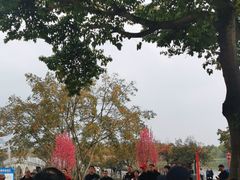 -眉山湿地公园(东坡区)