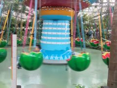 -南宫五洲植物乐园