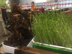 -番食园鲜食火锅(高新店)