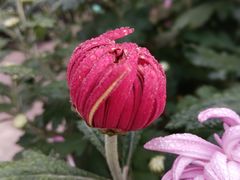 -共青国家森林公园-售票处