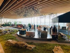 -Seesaw Coffee(朝阳大悦城店)