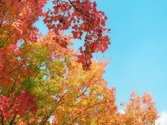 -长白岛森林公园