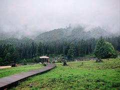 -硗碛藏寨·神木垒景区