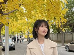 -三里屯东五街银杏大道