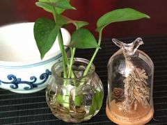 -碧露轩·大益茶体验馆(镇江路店)