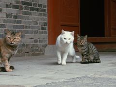 -兴教寺