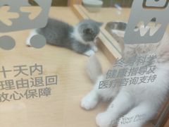 -帕帕拉兹宠物(亚洲旗舰店)