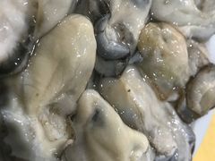 -濠轩阁特色生蚝火锅(水湾路店)
