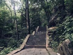 -洛阳白云山景区