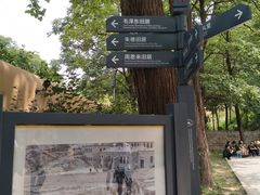 -延安杨家岭革命旧址