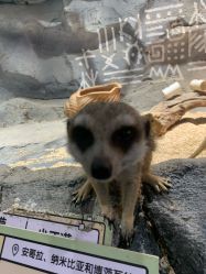 -Zoolung Zoolung动物主题公园(海信广场店)