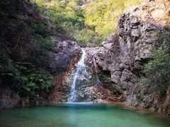 -南海湾森林生态园