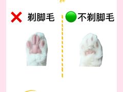 -守诺宠物医院·眼科· 特色牙科·异宠专科(虹口店)